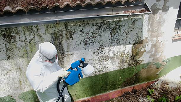 Mold Remediation service in Lyons, Lyons, OR